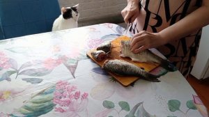 И такое бывает. Весна в деревне.