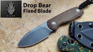 ✅ NEW Kizer Drop Bear Fixed Blade • Azo Design