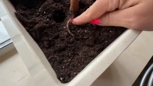 ВЫ ДОЛГО ПРОСИЛИ ВЫПОЛНИЛА‼️ЕГО НАДО СПАСАТЬМОЁ КОРОННОЕ БЛЮДО