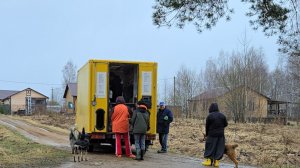 Шоппинг в непогоду, кошки-затейницы и новая корзина