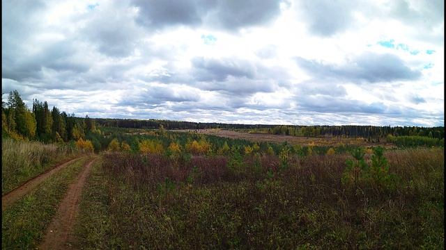 А. Ахматова. Память о солнце в сердце слабеет...
