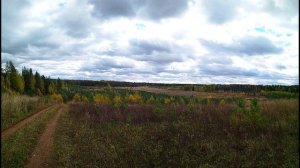 А. Ахматова. Память о солнце в сердце слабеет...