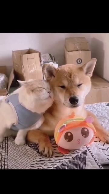 ЗВЕЗДА МОЕЙ ЛЮБВИ. Автор песни Калмыков Олег Спартак. Канал Новая Яркая Звезда Telegram MAX Yappy. В