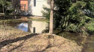 Манго съели, подарки вручили, на дачу сбежали 🥭🎁🏡