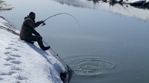 БРЁВНА ОЖИВАЮТ И ТАЩУТ МЕНЯ В РЕКУ... Рыбалка перед нерестовым запретом.
