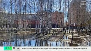 Уровень рек в подмосковных Луховицах опустился на 22 см