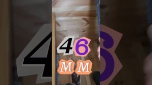 1000055559.mp4 (Собака наблюдает за устройством лестницы на 2-ой этаж в доме А-фрейм)