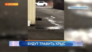 Новости Камчатки за 10 апреля 2026 года