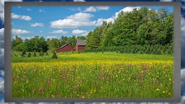 Прогулки по Димитровграду. Геннадий Зимняков. Поэзия