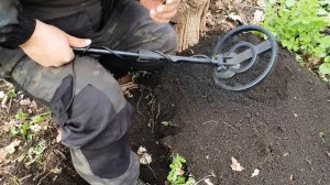 Копнул царских монет, беседы о кладоискательстве, и новый закон о краснокнижных грибах и растениях