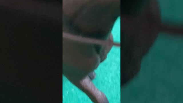 день в зелёном цвете💚