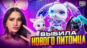 ВЫБИЛА НОВЫХ ПИТОМЦЕВ ! МИЛЫЙ СКИН на КРОЛИКА В PUBG MOBILE !ОТКРЫВАЮ НОВЫЙ КЕЙС В ПУБГ МОБАЙЛ