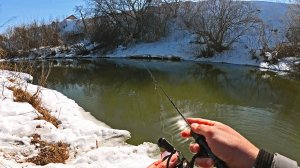Весенний УЛЬТРАЛАЙТ НА ОЖИВШЕЙ РЕКЕ. Микроджиг радует и удивляет! Рыбалка 2026