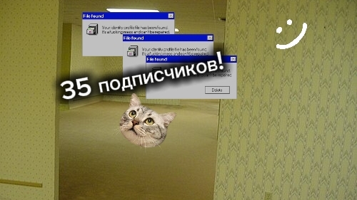 35 подписчиков