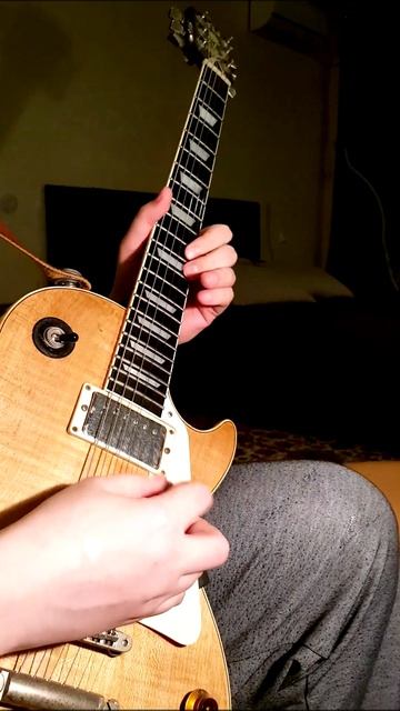 Avenged Sevenfold / Hail To The King / гитарное соло