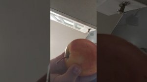 трансляция