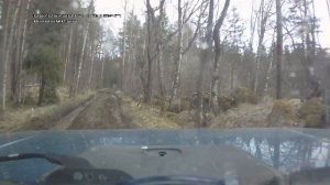 Нива в Карелии