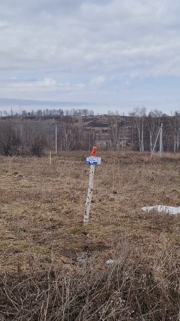 Коларовские усадьбы г.Томск