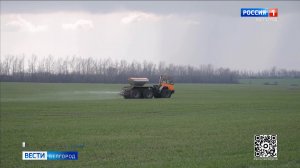 Аграрии Губкинского округа завершают подкормку озимых