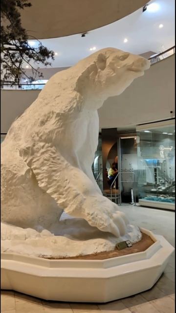 Дарвиновский музей, Москва.