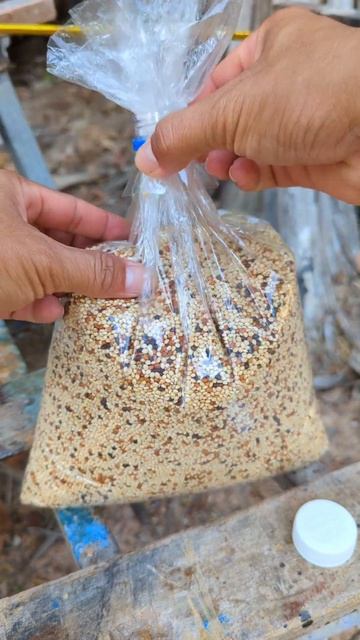 A Brilliant Idea. #diy #idea