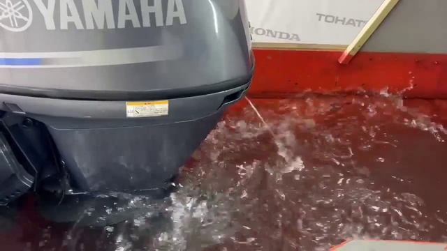 Запуск двигателя Yamaha F40 EFI