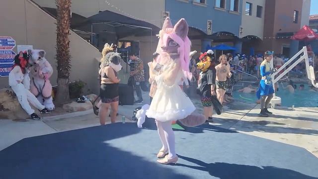 Фурьсьют прогулка в Америке