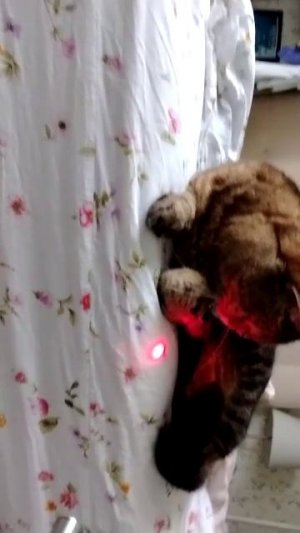 поверка инстинкта