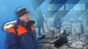 Занятие кинологов МЧС Амурской области с будущими волонтерами