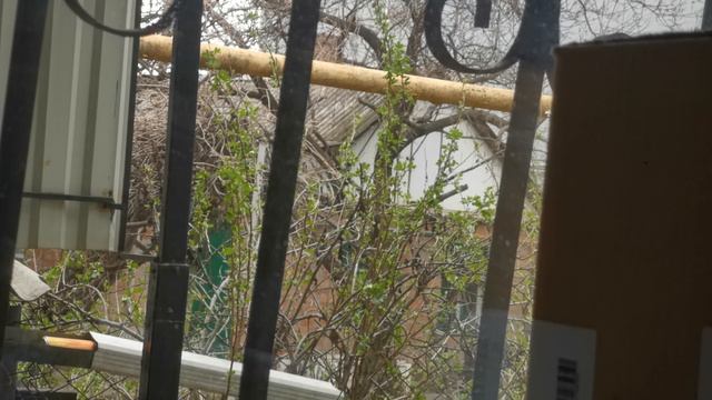 За решёткой, но не в темнице сырой