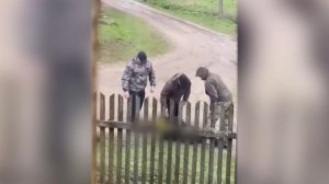 В марте украинская прокуратура завела 20 тысяч уголовных дел за самоволку.