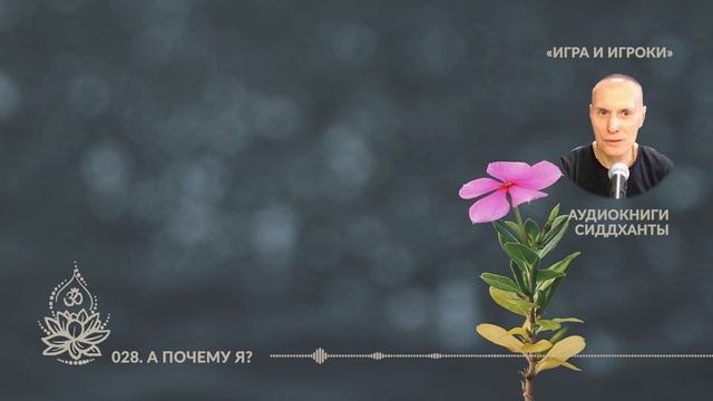 Игра и Игроки. 028. А почему я? Аудиокниги Сиддханты Вячеслава Чернина