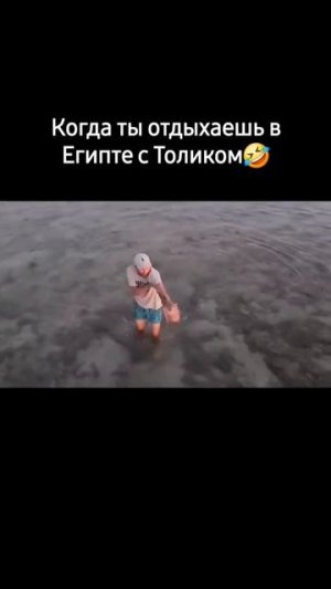 Клип @dvk_virus