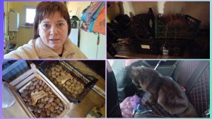 Сорта картофеля.У меня будет для больших объёмов