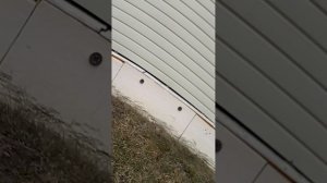 мы с Алисой проводим время