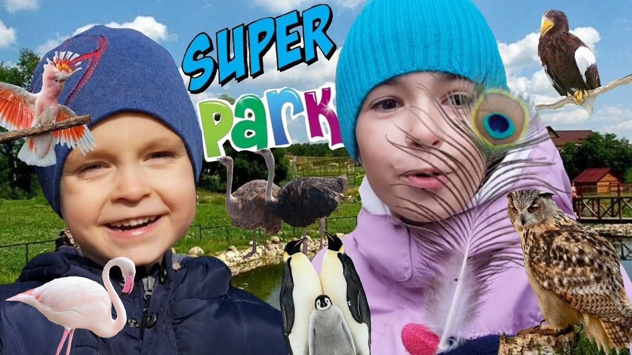 Самый большой парк-птиц в России! Парк-птиц _Воробьи_ Влог.