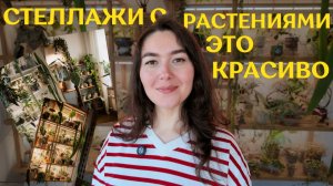РАСТЕНИЯ В ИНТЕРЬЕРЕ | ВСЁ про МОИ СТЕЛЛАЖИ для цветов | почему я ЛЮБЛЮ СТЕЛЛАЖИ и считаю УКРАШЕНИЕМ