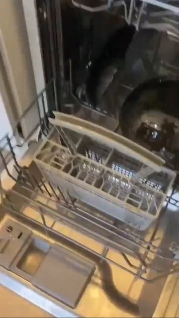 Посудомоечная машина