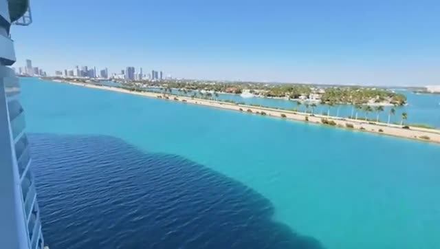 Лиса в Америке Плакали всеДержали в секретеРеакция Многодетная семья в СШАЛиса в АмерикеВлогНовость