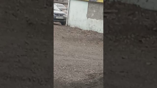 это как я иду со школы домой