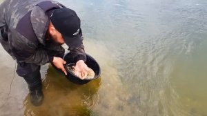 Фильм "ЗОЛОТО ПОД НОГАМИ"