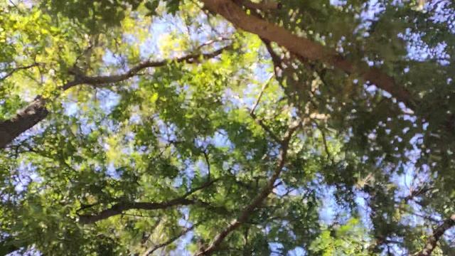 Один из дней города Евпатории | 8 сентября 2021 год | Крым ХАН БАТОН XAH 6ATOH | VID_20210908_151057