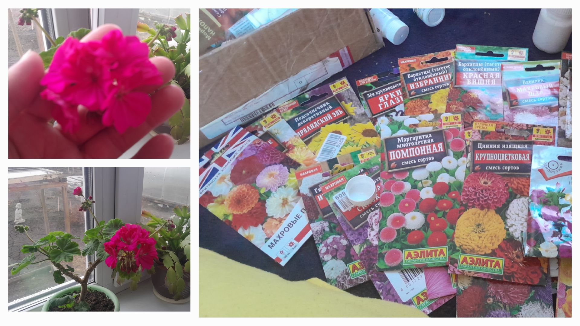 ПОШУРШИМ ПАКЕТИКАМИ🧧КАКИЕ ЦВЕТЫ🌸И КАПУСТУ🥬БУДУ СЕЯТЬ В ЭТОМ СЕЗОНЕ 2026/ЖИЗНЬ В СИБИРСКОЙ ДЕРЕВНЕ