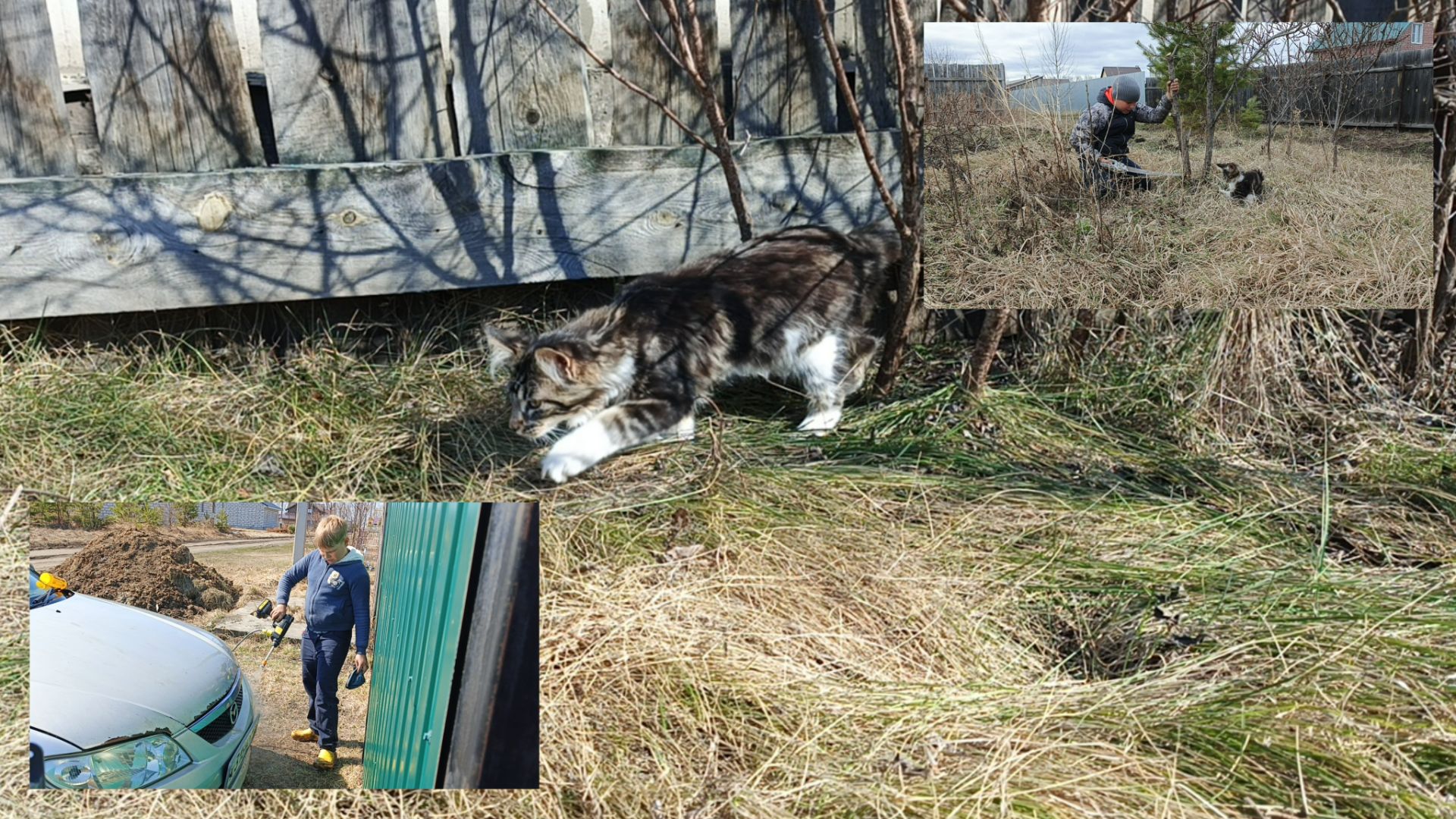 Работы в саду.