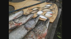 Продолжение.Вертушка,колебалка,реальная рыбалка.Спиннинг.