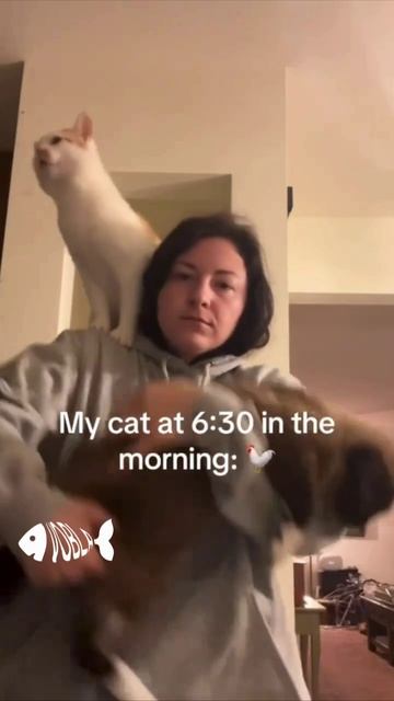 Говоряще-поющие коты