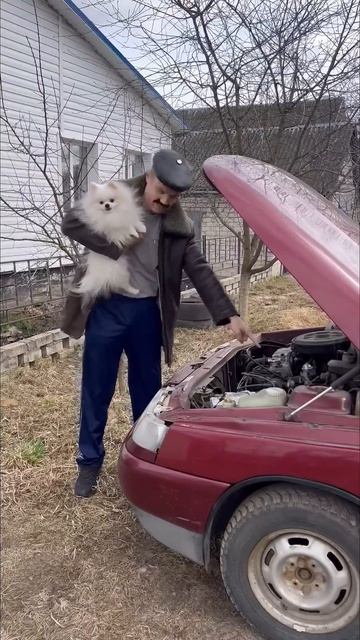 Батя и животные смотреть онлайн