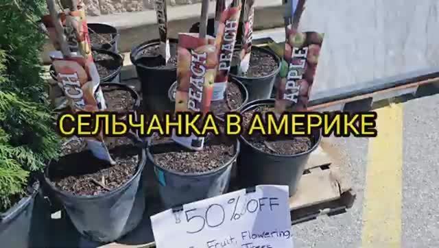 Сельчанка в Америке / МОЯ СУПЕР ПОКУПКА В США