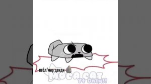 пеблик и тв пеблика🪨🖤