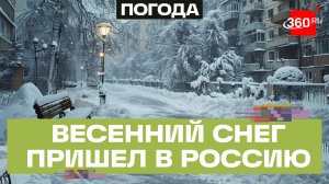 Российские города засыпает снегом: зима продолжается, но уже весной